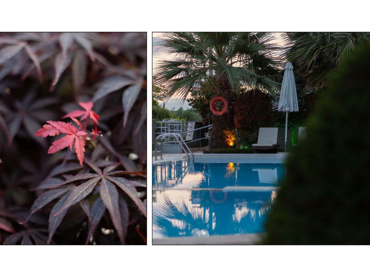 סטאברוס Anthodi Hotel מראה חיצוני תמונה